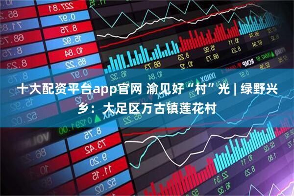 十大配资平台app官网 渝见好“村”光 | 绿野兴乡：大足区万古镇莲花村